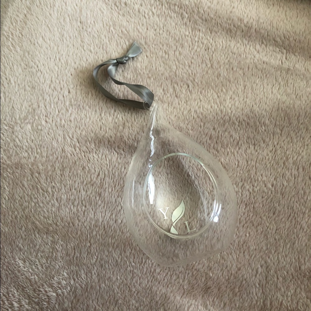 Young living hanging planter for air plant